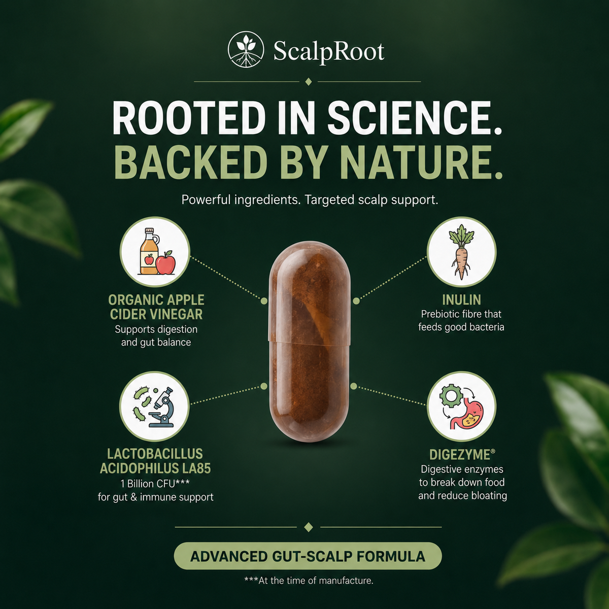 Scalproot - Anti-Dandruff Gut-Scalp Wellness Complex