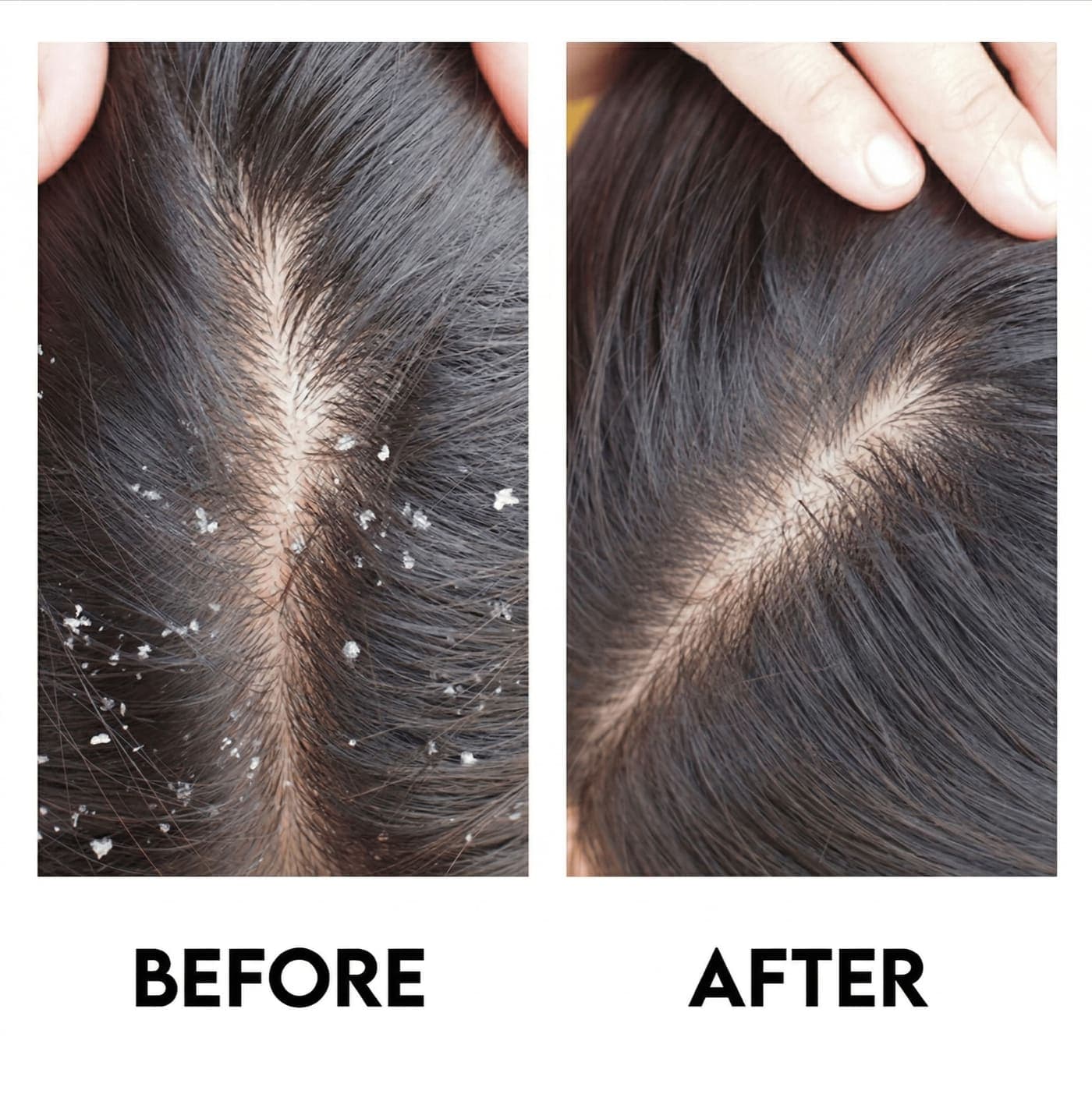 ScalpRoot Real Results