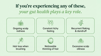 Scalproot - Anti-Dandruff Gut-Scalp Wellness Complex